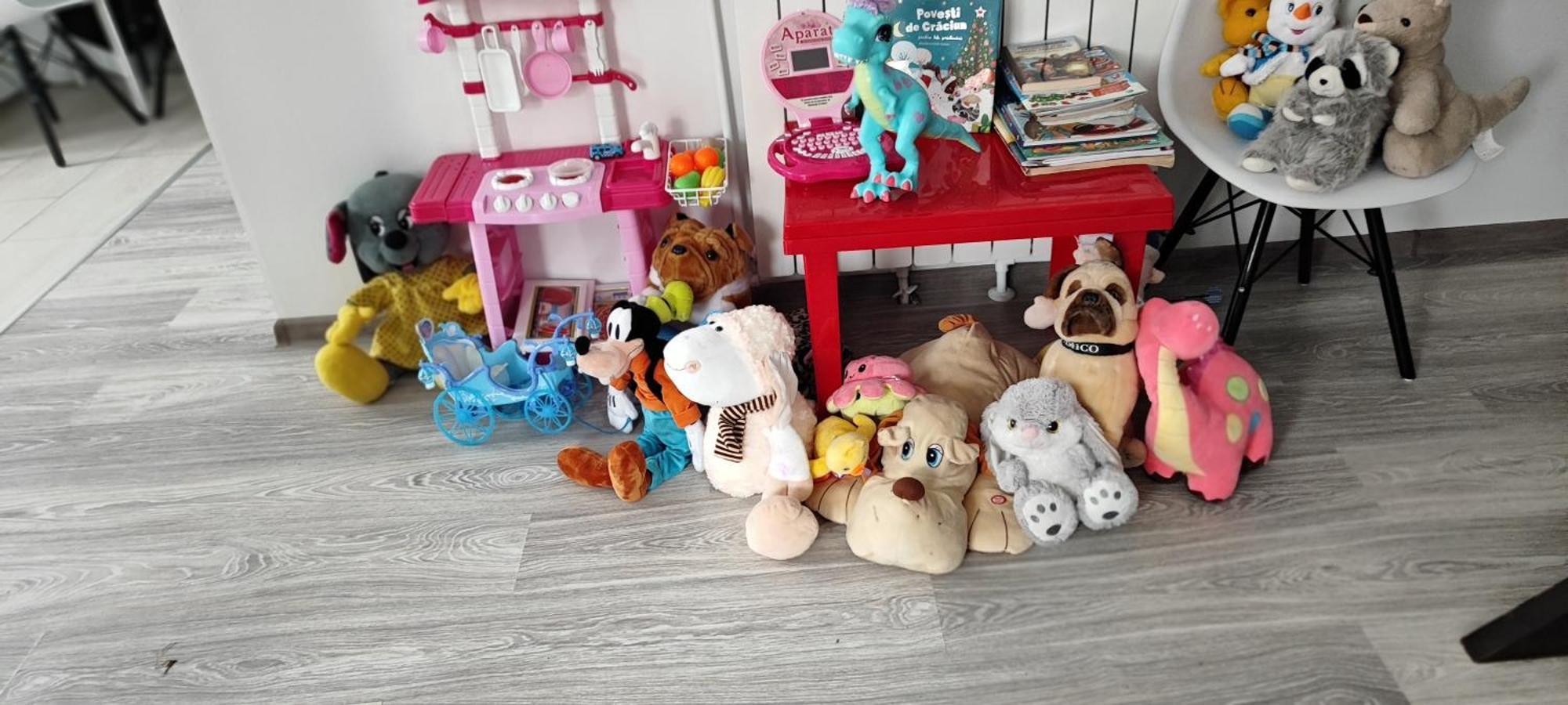 Vila Raisa Neagra Sarului Esterno foto