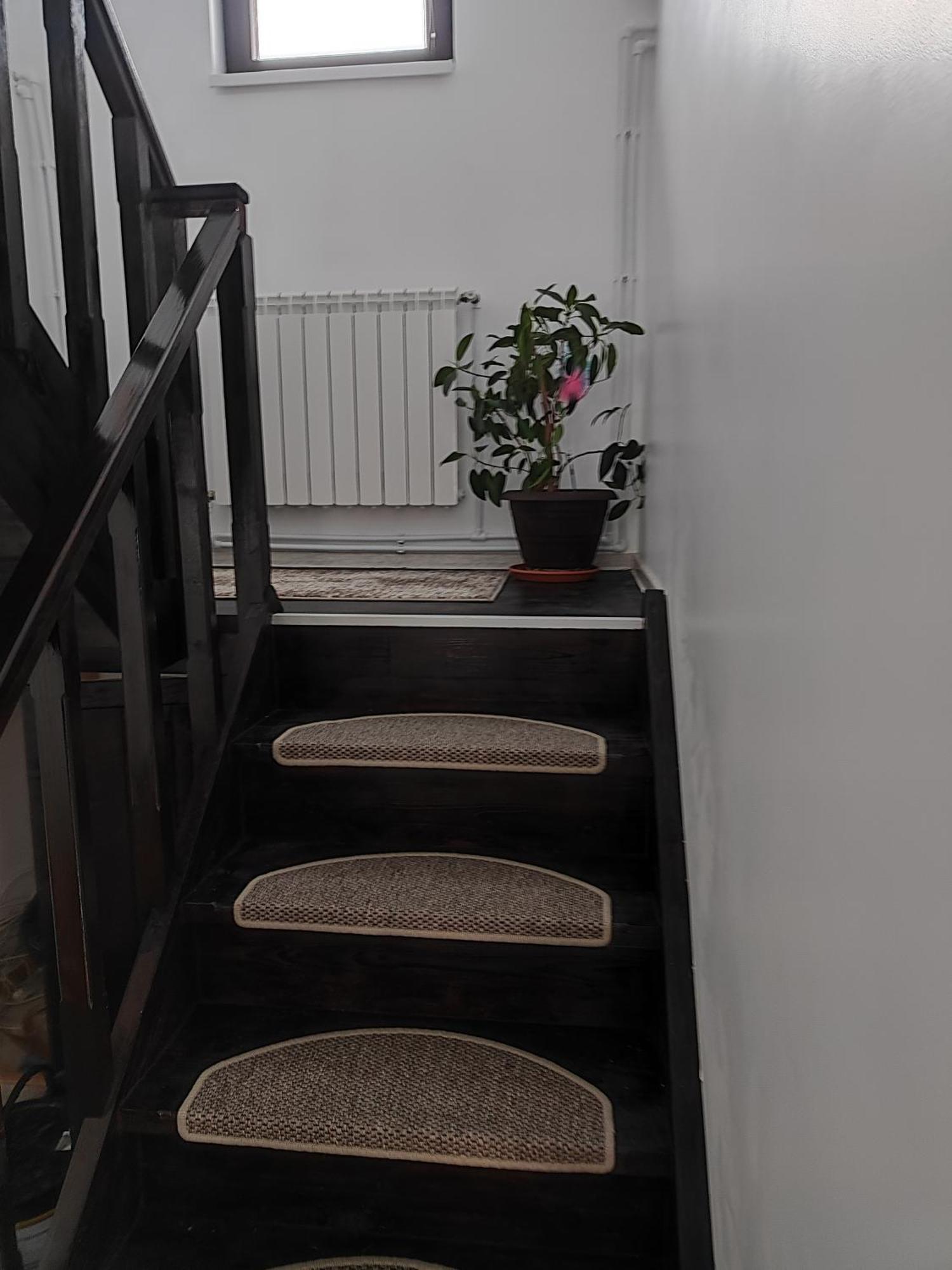 Vila Raisa Neagra Sarului Esterno foto
